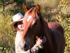Return to Freedom - Wildpferdereservat in Kalifornien