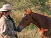 Return to Freedom - Wildpferdereservat in Kalifornien