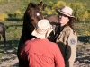 Return to Freedom - Wildpferdereservat in Kalifornien