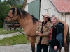 Return to Freedom - Wildpferdereservat in Kalifornien