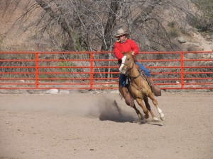 IMG_2240
