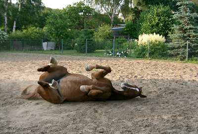 im-sand