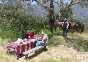 picknick1