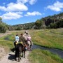 Was ist Wanderreiten? Wanderritte in der Natur