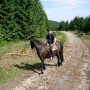 Ausritt mit Brockenblick im Harz - Wanderreiten im Harz