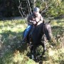 Reiten im Harz-zwischen Innerstetalsperre und Wolfshagen