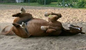 im-sand2