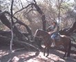 Reiten mit Paso Peruano Pferden- Reisebericht aus Peru