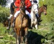 Schleppjagd und Pferdesafari in Südafrika