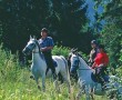 Das Lipizzaner-Gestüt am Achensee - Reiten in Österreich