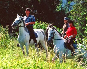 sommerausritt-auf-Lipizzanern-2