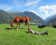 Alpenüberquerung