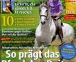 CAVALLO August 2011