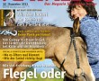 Presseschau: CAVALLO Dezember 2011 - Pferdeerziehung, Mauke, Sattel Special