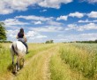 Fragen zur Gesundheit: Ist Reiten gut für den Rücken?