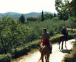 .cavalli-olivi
