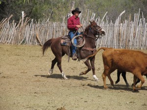 IMG_2212
