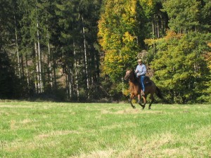 IMG_4257
