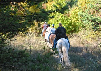 Dicke Brasilianerin Kann Gut Bbcs Reiten Dicke Brasilianerin Kann Gut Bbcs Reiten
