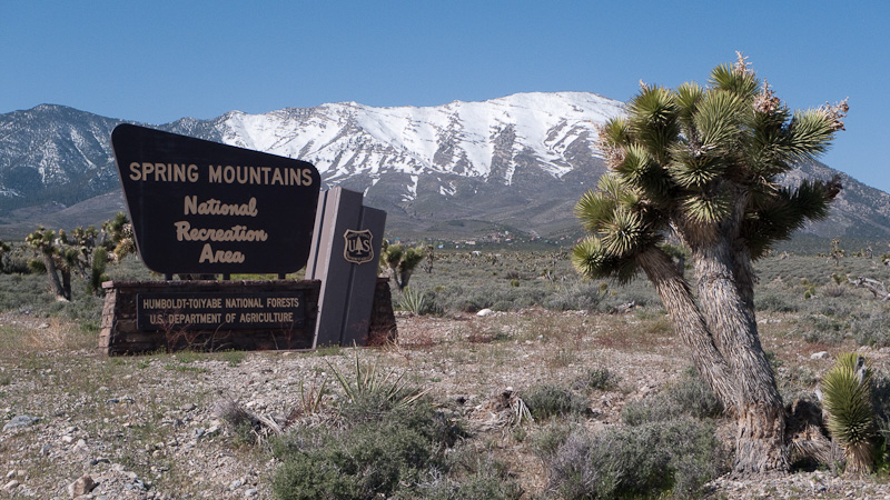 Wildpferde In Der Region Las Vegas In Cold Creek Reiten Weltweit Info Reiten Und Pferde Online